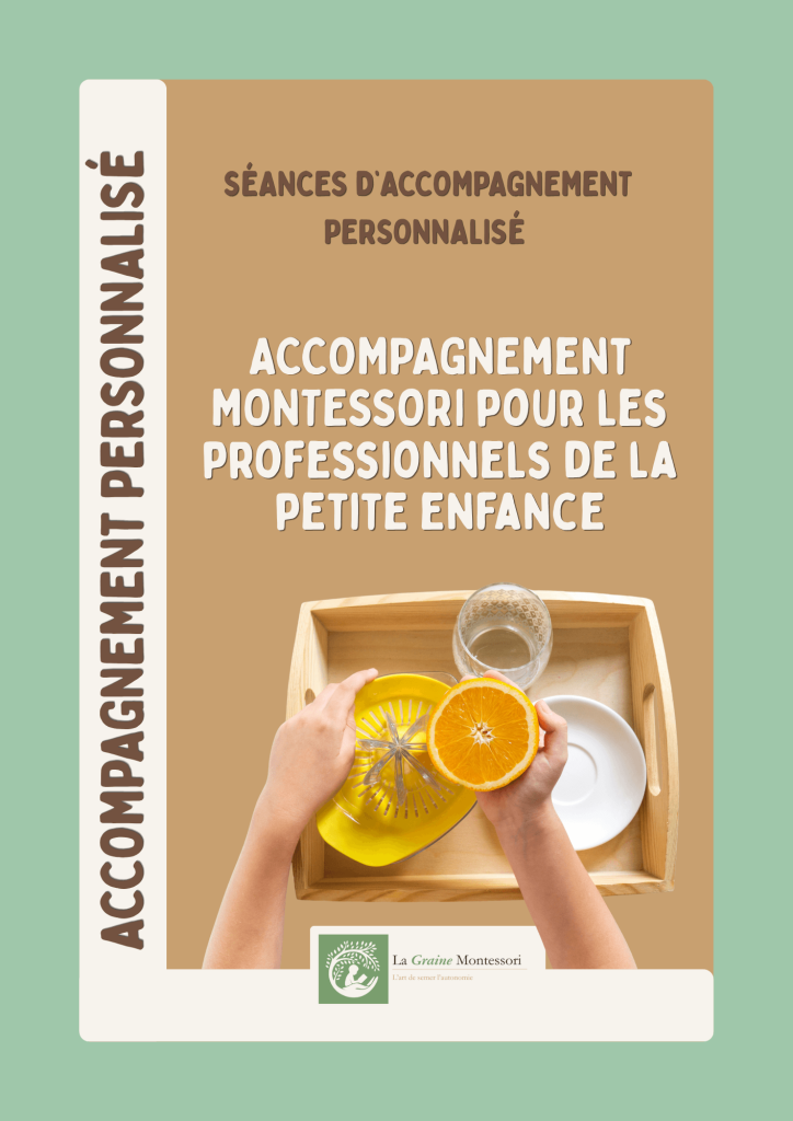 Accompagnement personnalisé pour les professionnels de la petite enfance souhaitant intégrer la pédagogie Montessori dans leur structure