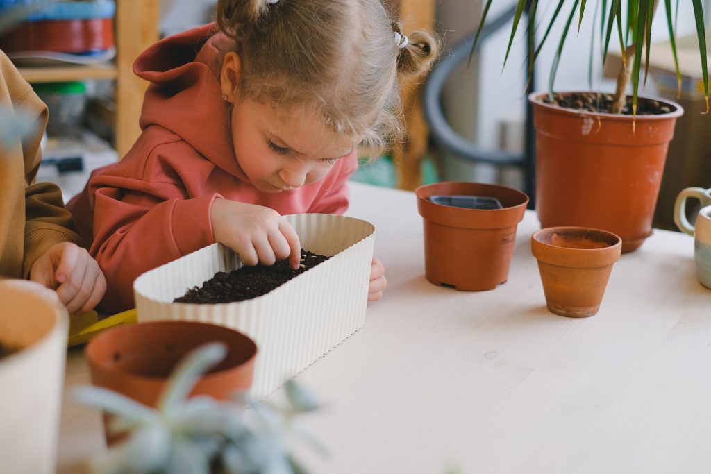 Accueil enfant qui plante une graine activité Montessori